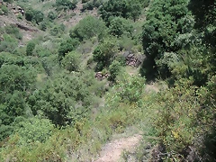 almedijar 079