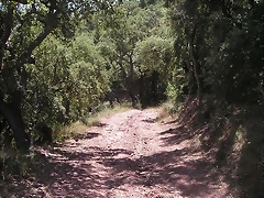 almedijar 085