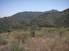 almedijar 087