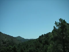 almedijar 088