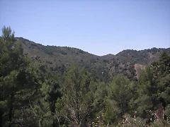 almedijar 095