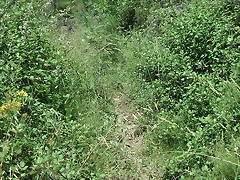 almedijar 080