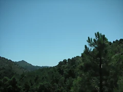 almedijar 089