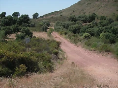 almedijar 082