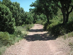 almedijar 083