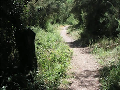 almedijar 108 almedijar 108