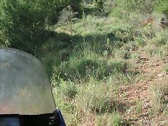 almedijar 026 almedijar 026