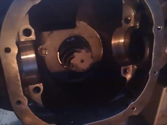 IMAG1143 IMAG1143