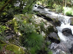 DSCN2779 DSCN2779