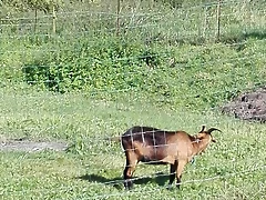 IMG_20161001_154631 IMG_20161001_154631
