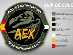 parche-AEX-2016-guia de colores BORDADO