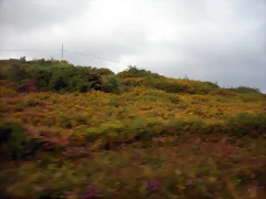 DSCN8476 DSCN8476