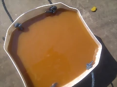 IMAG0358 IMAG0358