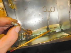 DSCN1921 DSCN1921