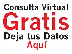 Consulta Virtual