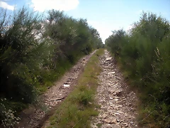 DSCN4195 DSCN4195