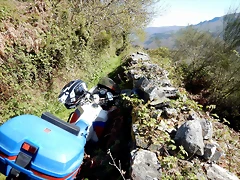 DSCN4373 DSCN4373