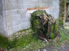 DSCN6155 DSCN6155