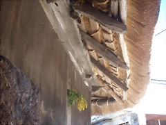 Ancares suso 034 Ancares suso 034