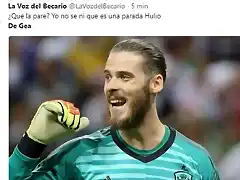 MemesDeGea2018-15