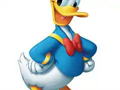 Donald Duck (8)