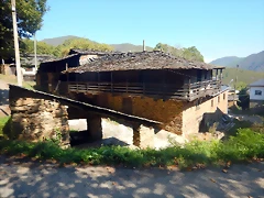 DSCN7836