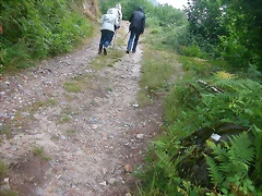 DSCN4247 DSCN4247