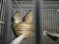 IMGP0073