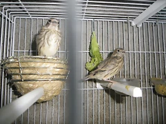 IMGP0070