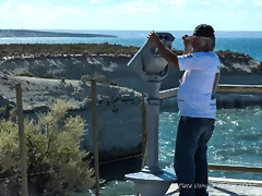 P1220912 P1220912