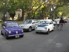 SDC12237 SDC12237