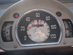 langosto58 003