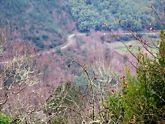 22-IMG_4520 22-IMG_4520