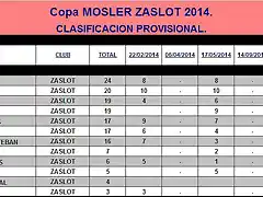 Copa MOSLER 2014