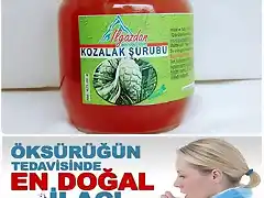 kozalak-surubu sirope pi?as turqu?a