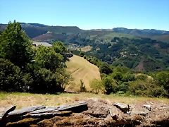 DSCN3929 DSCN3929
