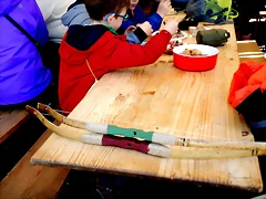DSCN0239 DSCN0239