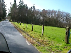 DSCN7631 DSCN7631