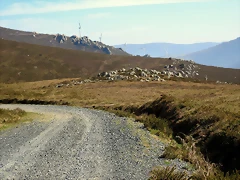 27-IMG_5253