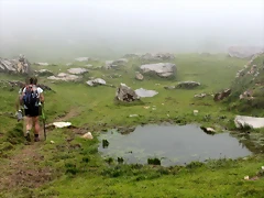 IMG_7479 IMG_7479