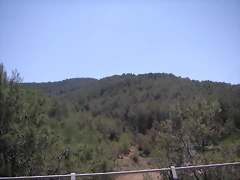 PICT0094