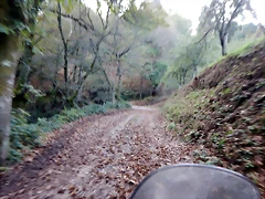DSCN8472