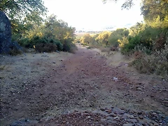 15102011034 15102011034