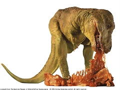 t-rex2 t-rex2