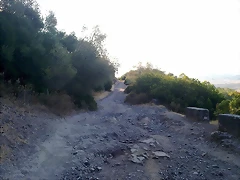 15102011053 15102011053
