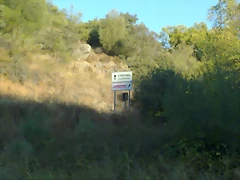 15102011063 15102011063
