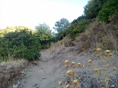 15102011059 15102011059