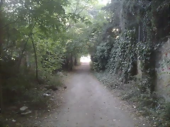 15102011017 15102011017