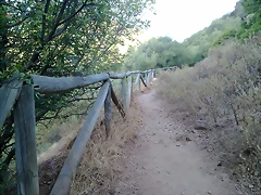 15102011060 15102011060