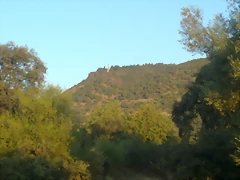 15102011028 15102011028